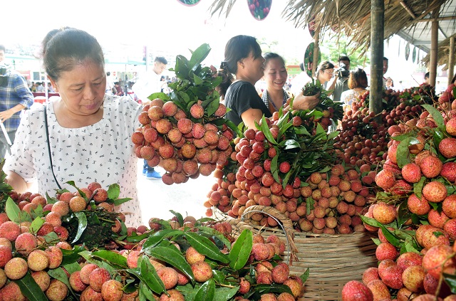 Hanoi promotes consumption of farm produce post Covid-19