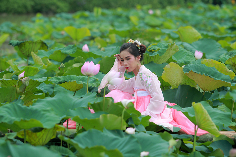 Hanoian girls posing with lotus flowers