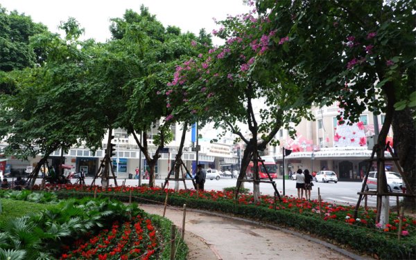 Tree planting campaign significantly improves Hanoi’s environment