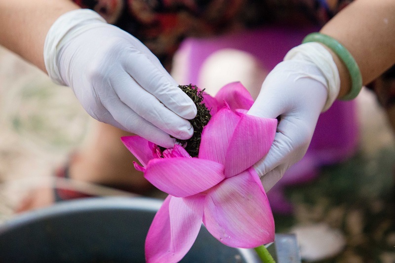 How Hanoi’s lotus-scented tea is made