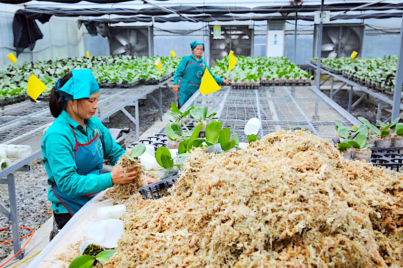 Hanoi removes barriers to investment in high-tech agriculture