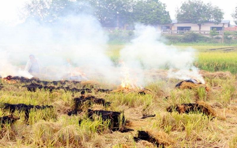 Hanoi wants to end straw burning this year