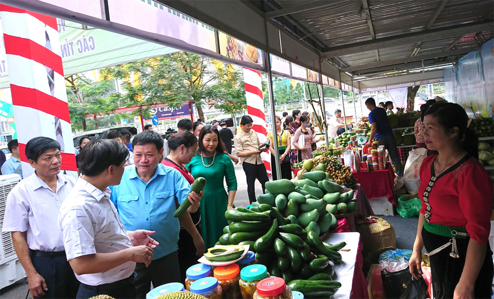 Hanoi sets up 28 stores for selling goods in upcoming Tet