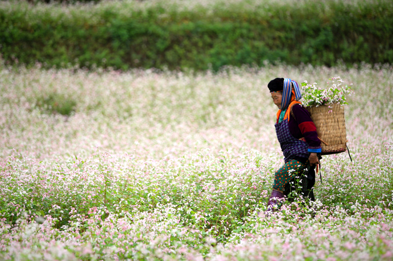 Vietnamese travelers shift to exploratory tours in post Covid-19: Google