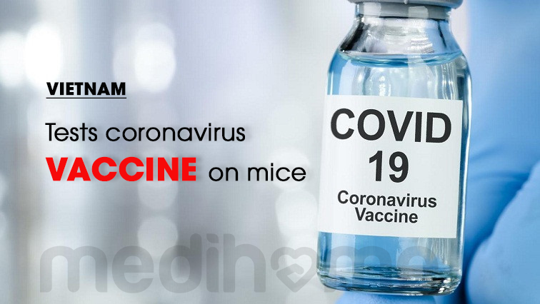 Vietnam may start human trial of Covid-19 vaccine this month