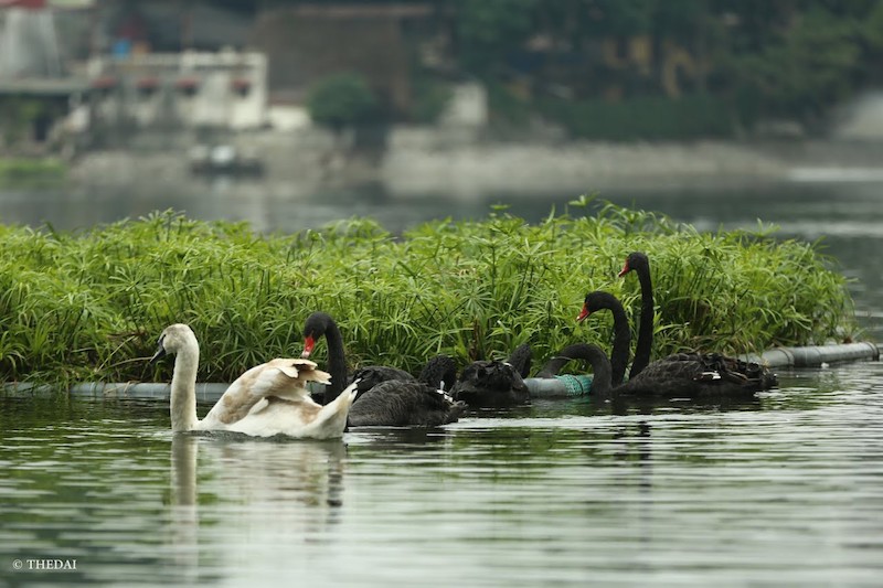 Thien Quang lake - Buddha’s halo 