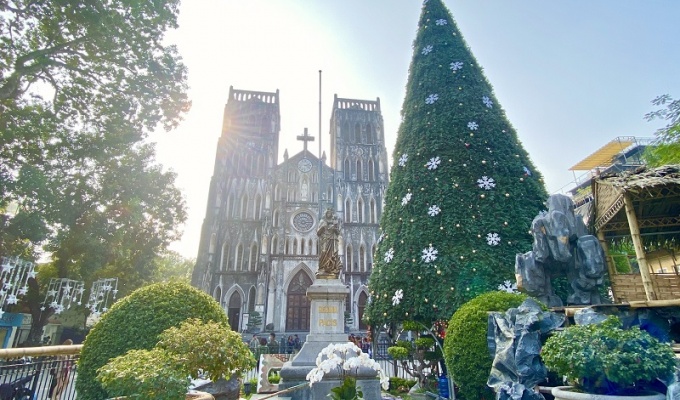 Close-up of "giant" Christmas trees in Hanoi