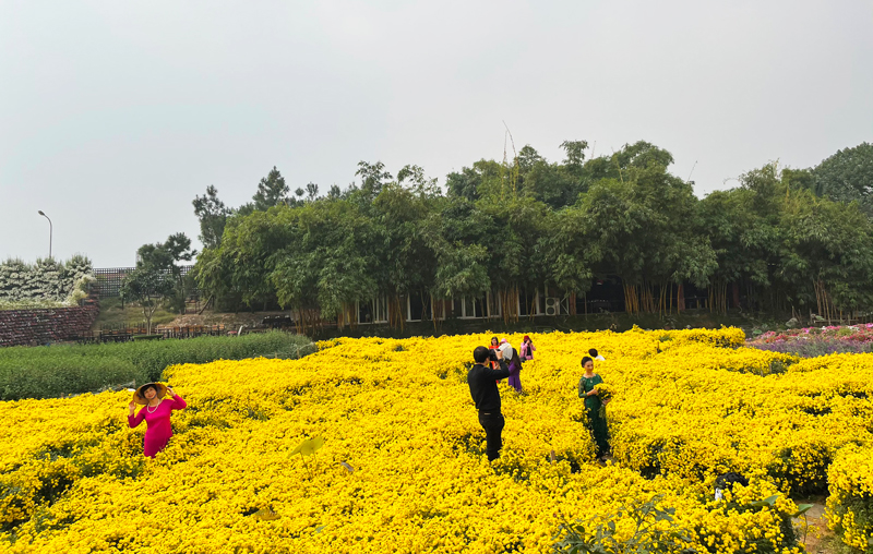 Ho Tay Flower Valley: An ideal venue to take photos in Hanoi