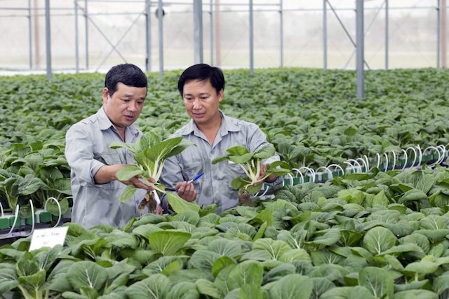 Vietnam needs more hi-tech farming to boost economy