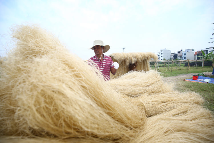 Exploring prolific vermicelli production in Hanoi’s ancient village