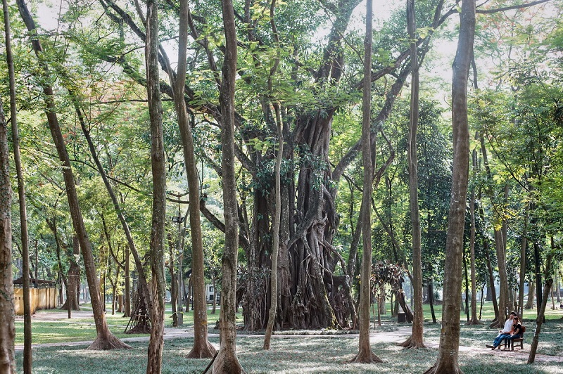 A peaceful and green oasis in the heart of Hanoi