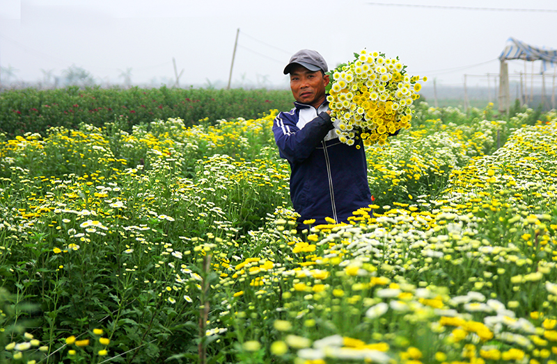 Enjoying fresh air in flower village outside Hanoi