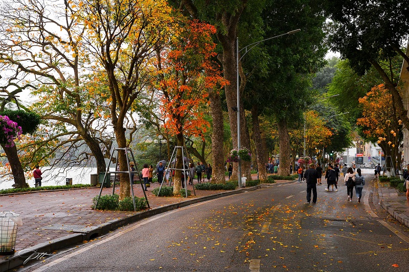 Hanoi, Hoi An win the ‘Popular Destinations of the World’ by TripAdvisor Travellers’ Choice Awards 2021