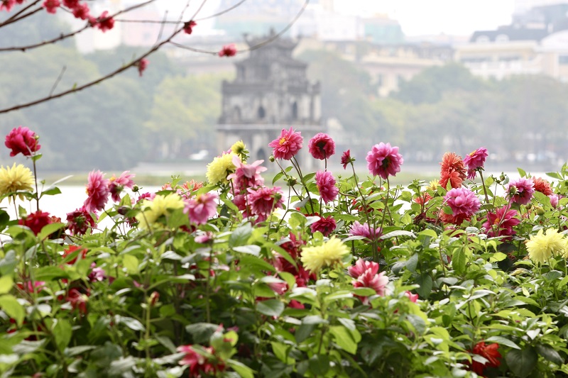 Flowers brighten up Hoan Kiem Lake