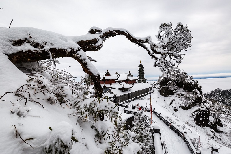 Four magnificent seasons on “Roof of Indochina”