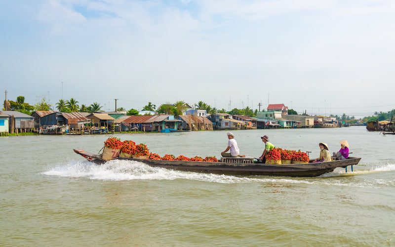 Vietnam’s bold policy for Mekong Delta works