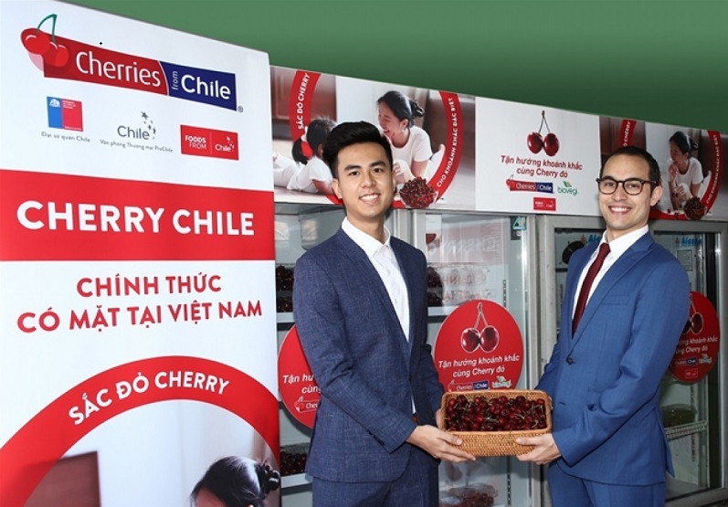 Vietnam, Chile pledge more efforts for further trade links