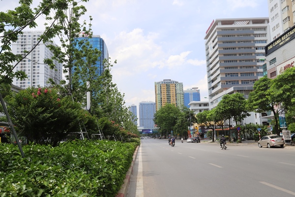 Hanoi plants around 554,000 new trees 