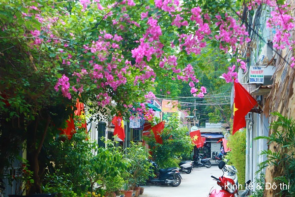 Hanoi streets and alleys tinged with red flag to celebrate the national election