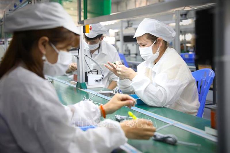 Nine enterprises in Bac Giang IPs resume operations 