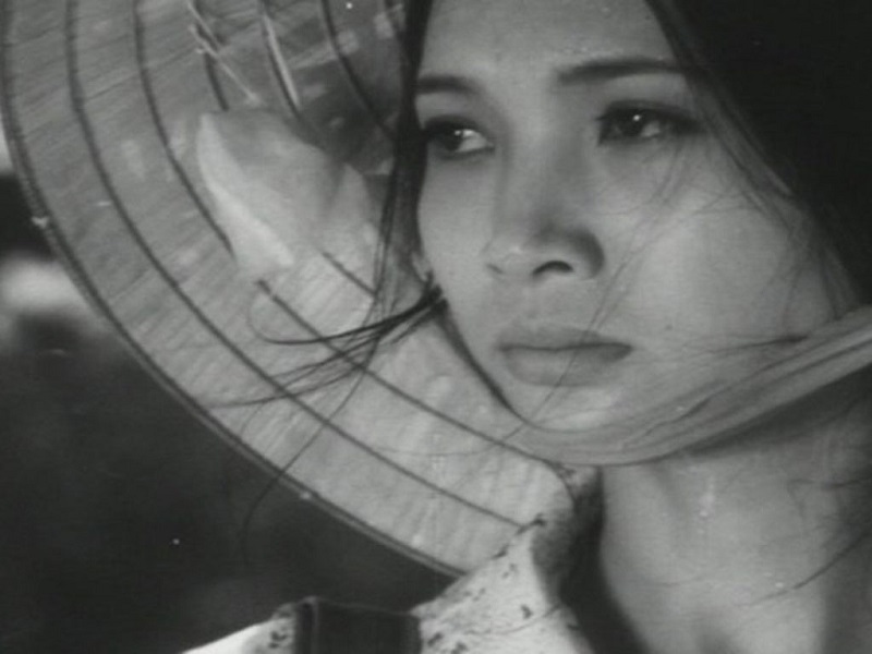 Preserving Vietnamese films is a big challenge, say experts