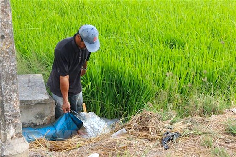 FAO supports Vietnam in building sustainable food systems 