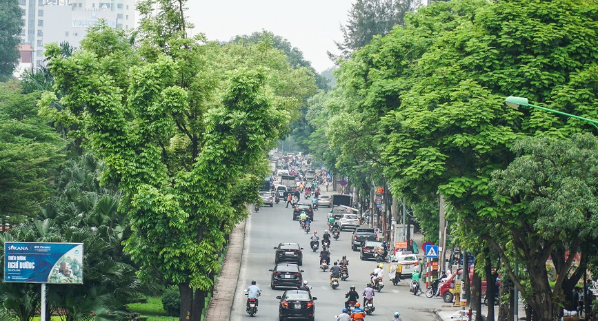 Hanoi streets turn verdant thanks to numerous trees