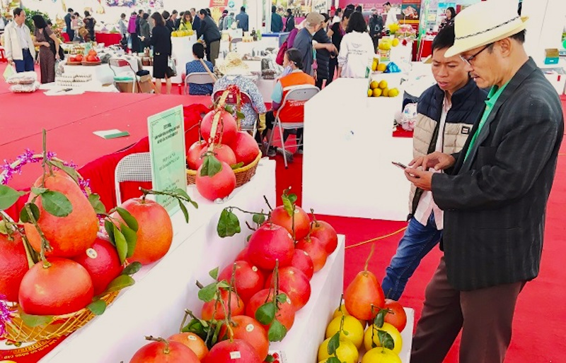 Hanoi cooperates with localities to boost sales of OCOP products 