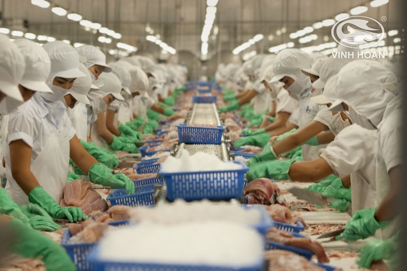 Vinh Hoan seafood processor leads investment into cell-based meat startup