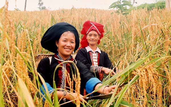 Vietnamese Gov’t targets sustainable poverty reduction for everyone