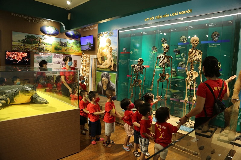 Premier Museum of Nature to be built in Quoc Oai