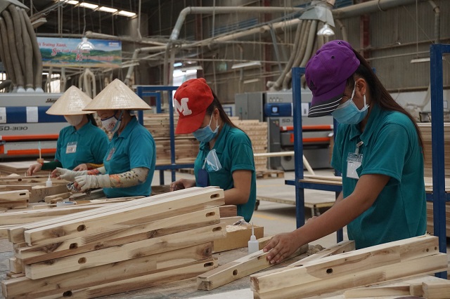 Vietnam reaches agreement with US on illegal timber control