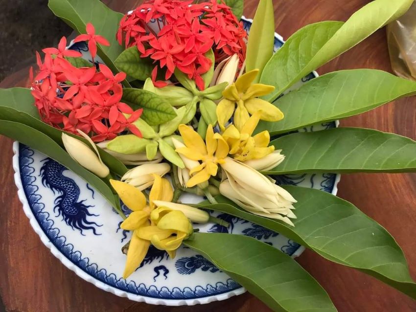 Memory-evoking flowers of an old female vendor in Hanoi’s Old Quarter