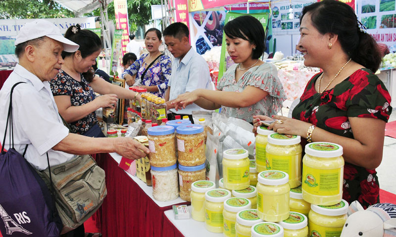 Hanoi to honor favorite Vietnamese products and services 2021 on November 10