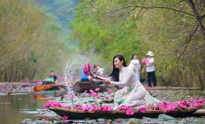 The beauty of water lily season on Hanoi’s outskirts 