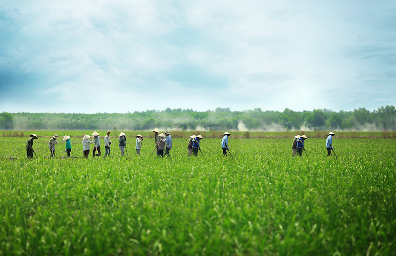 Greening agriculture - opportunity for Vietnam's growth