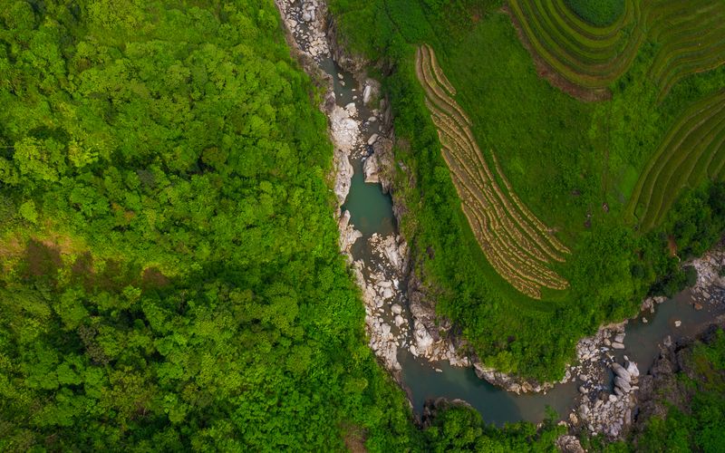 Germany to strengthen biodiversity conservation in Vietnam