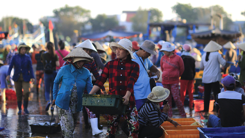 Vietnam makes progress in human development in 2016-2020