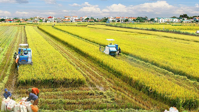 Vietnam announces strategy to become world’s major farm producer by 2030