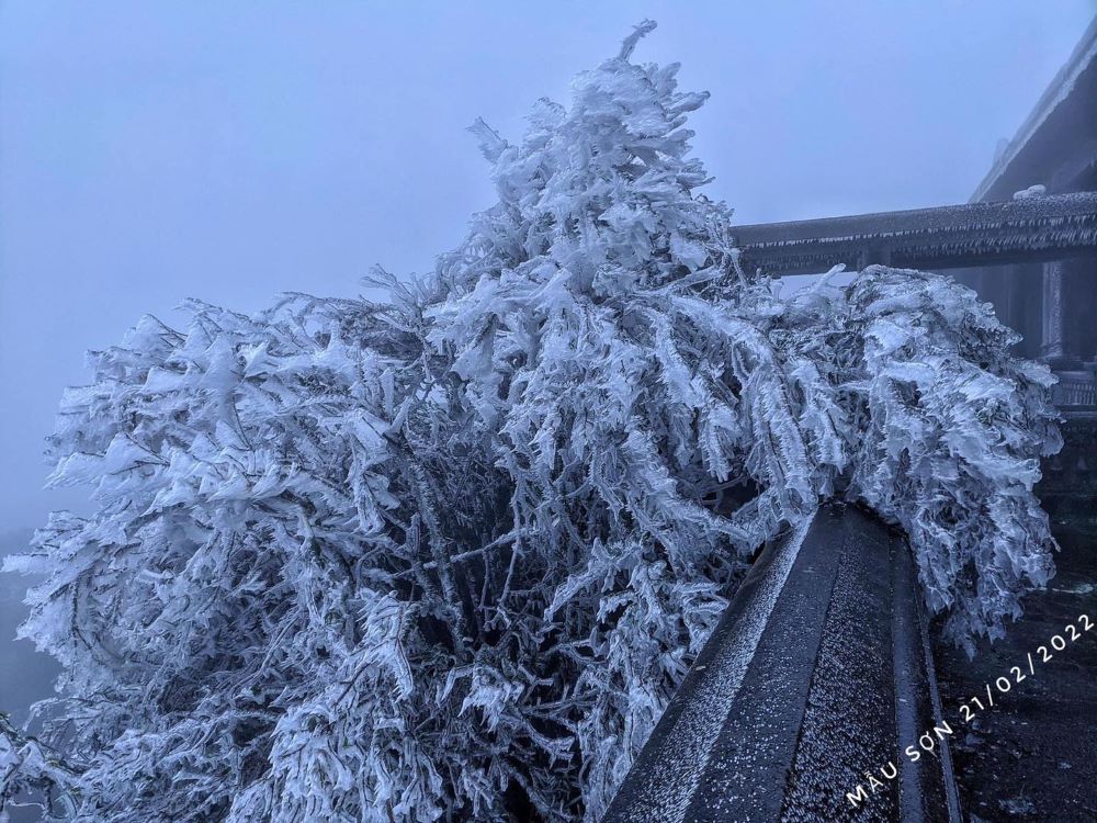 Frost blankets mountainous areas of Vietnam