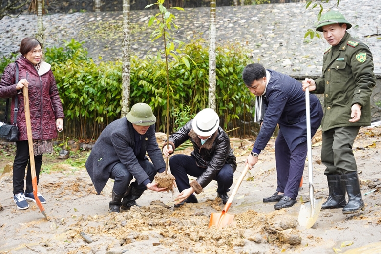 Hanoi responses to national tree-planting campaign