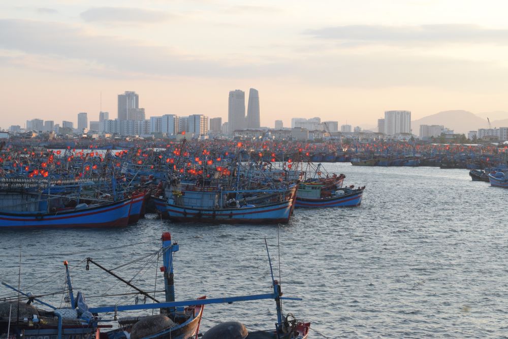 Vietnam sets target of removing EC's yellow card on fisheries this year