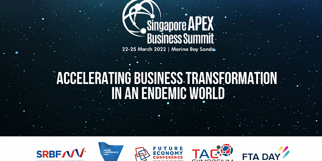 Vietnam attends Singapore Apex Business Summit 2022