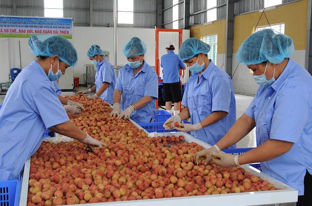 Vietnam has great opportunities in agricultural exports despite global turbulence