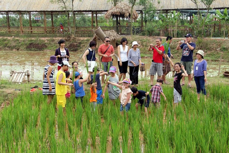 Hanoi promotes agritourism development