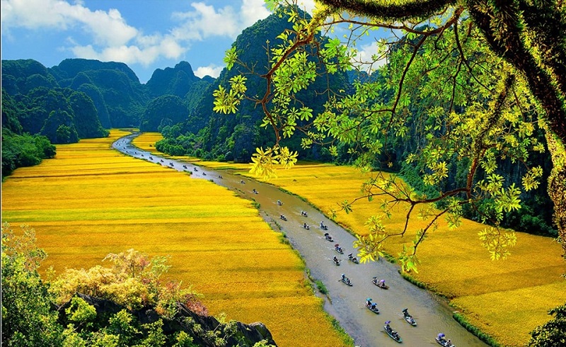 Six destinations in Vietnam for Global Wellness Day