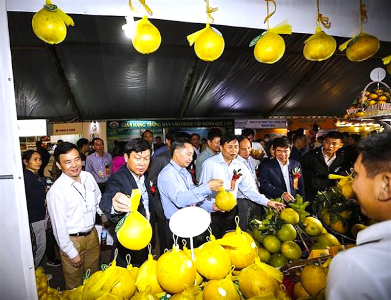 Hanoi and Hoa Binh join hands to promote agro-produce sale