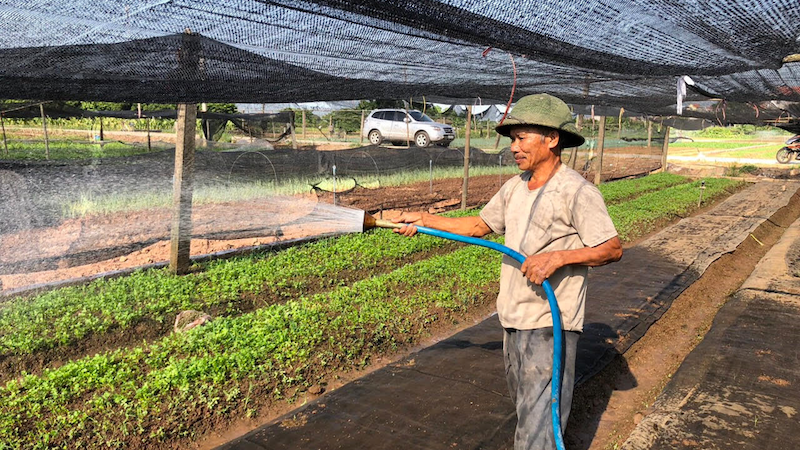 Hanoi records surge in agro-forestry-fishery export value   