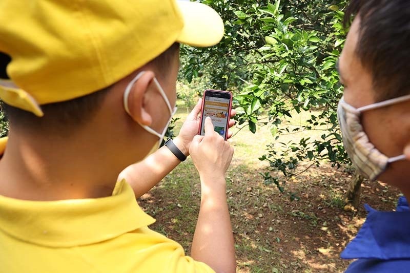 Hanoi enhances sales of farm produce via e-commerce channels