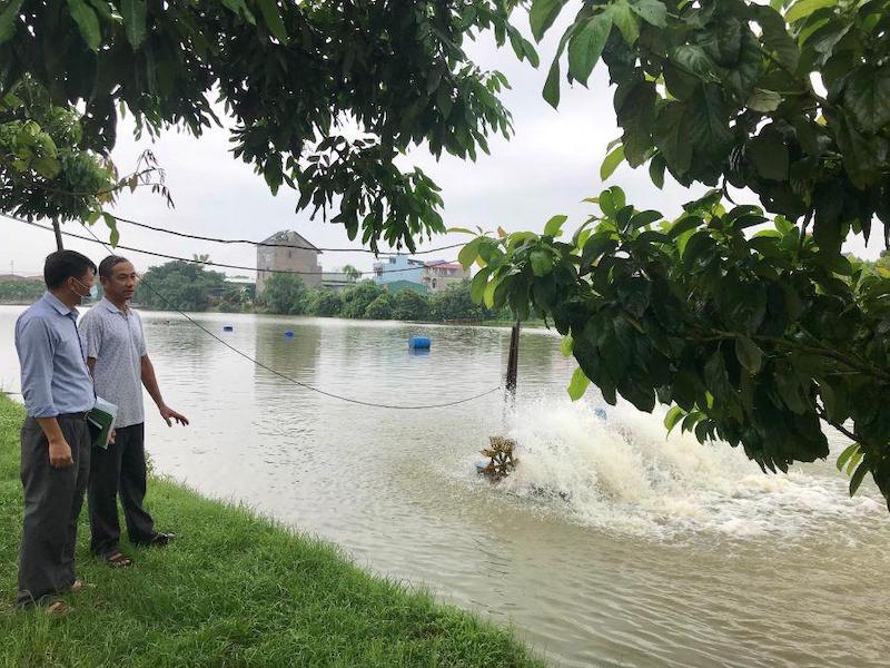 Taking Hanoi's farm produce to modern distribution channels